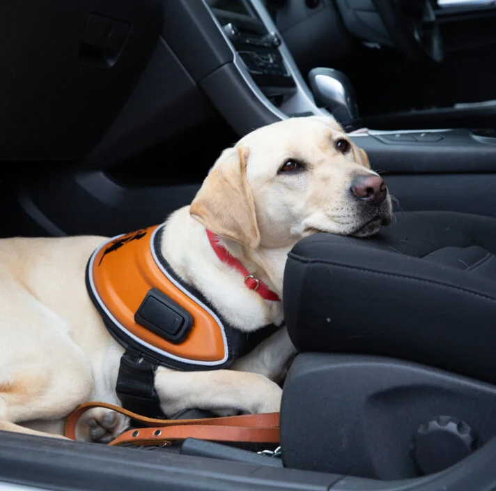 t’s Time to Give Guide Dog Handlers a Fare Go