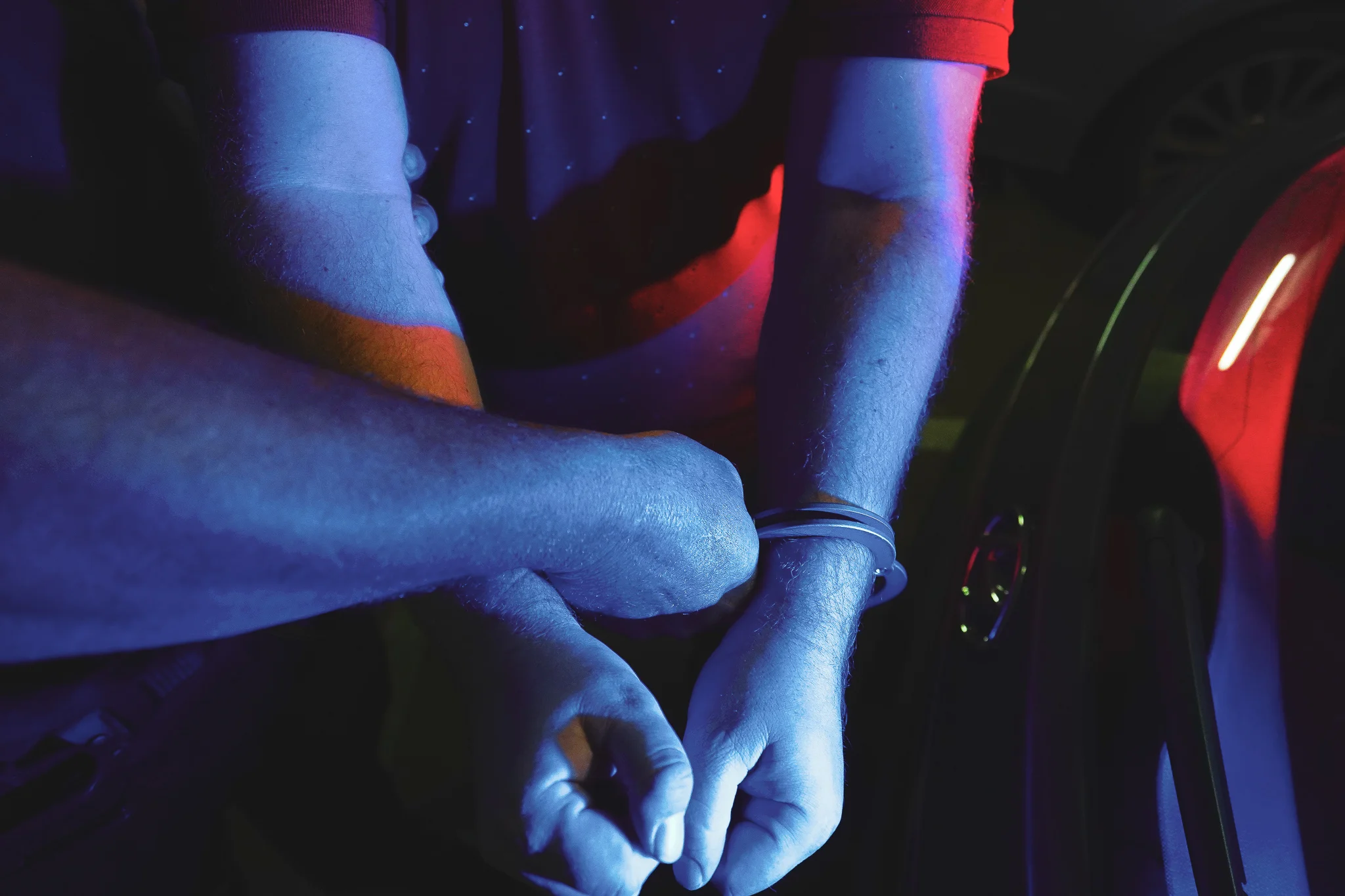 Brighton dog squad arrests

