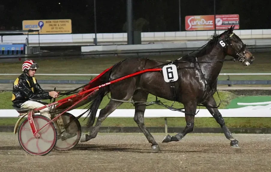 harness racing