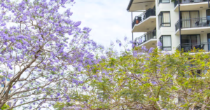 New Housing Rules Boost Capacity Along Brisbane Northside Rail Corridor